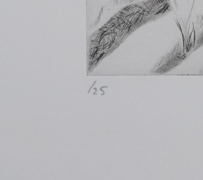 Camille COMBE : La dernière neige du printemps, Gravure originale signée