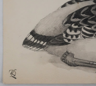 Louis DELAPCHIER : Poussins (Râle d'eau et Bécassin), Aquarelle originale signée