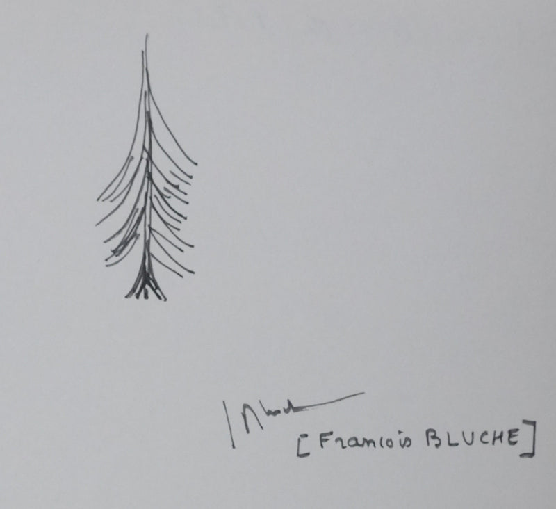 François BLUCHE : La branche de sapin, Autographe et dessin original signé