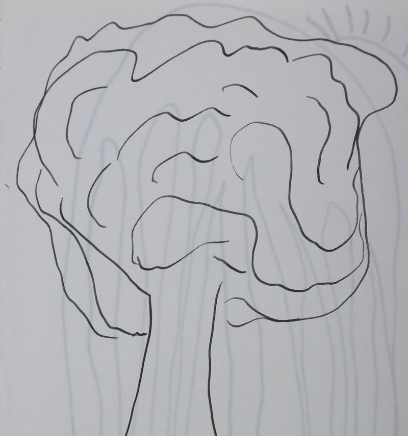 Xavier DE LA FOURNIERE : L&