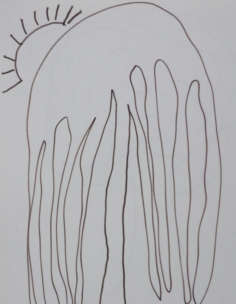 Xavier DE LA FOURNIERE : L&