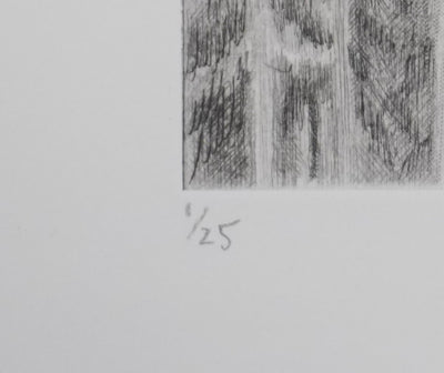 Camille COMBE : Le château de la belle au bois dormant, Gravure originale signée