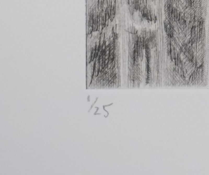 Camille COMBE : Le château de la belle au bois dormant, Gravure originale signée