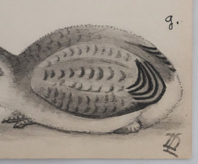 Louis DELAPCHIER : Poussins (Maubèche, Pluvier et Echasse), Aquarelle originale signée