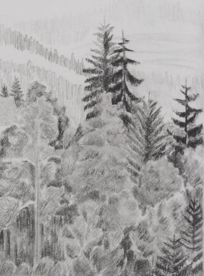 Camille COMBE : Le château de la belle au bois dormant, Gravure originale signée