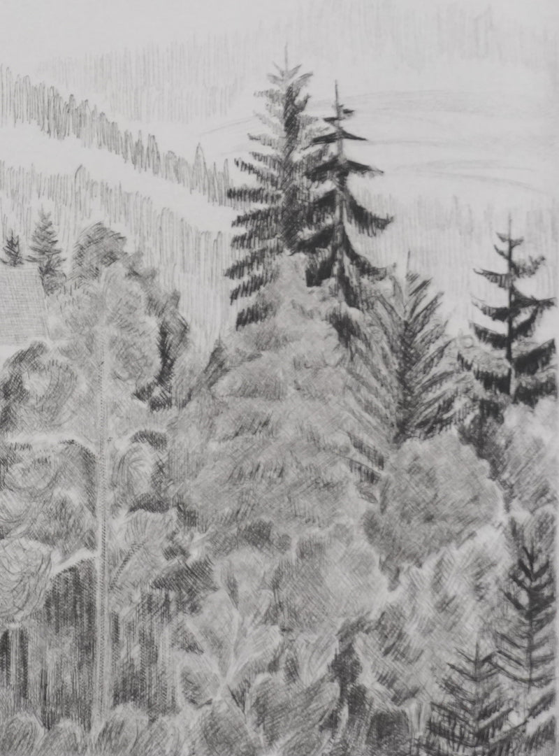 Camille COMBE : Le château de la belle au bois dormant, Gravure originale signée