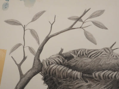 Louis DELAPCHIER : Nid de Loriot, Aquarelle originale