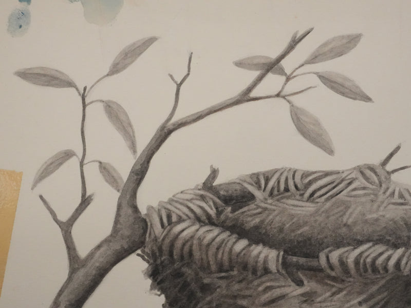 Louis DELAPCHIER : Nid de Loriot, Aquarelle originale