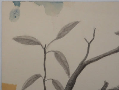 Louis DELAPCHIER : Nid de Loriot, Aquarelle originale