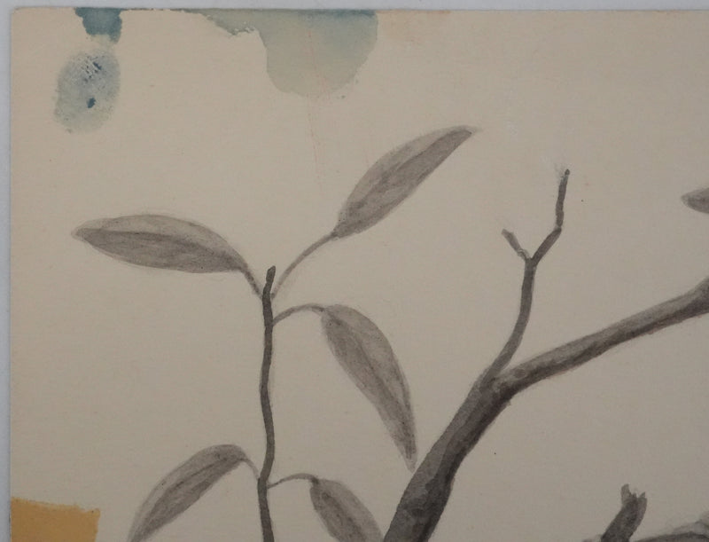 Louis DELAPCHIER : Nid de Loriot, Aquarelle originale