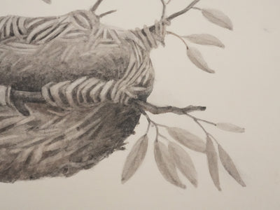 Louis DELAPCHIER : Nid de Loriot, Aquarelle originale