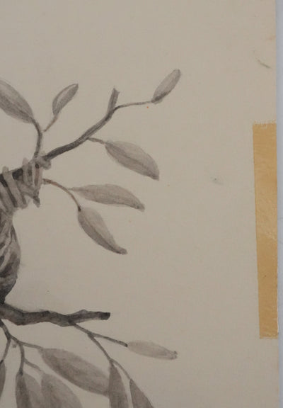 Louis DELAPCHIER : Nid de Loriot, Aquarelle originale