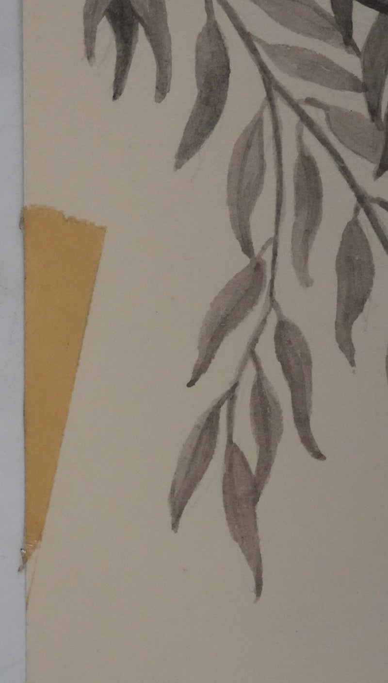 Louis DELAPCHIER : Nid de Rémiz, Aquarelle originale