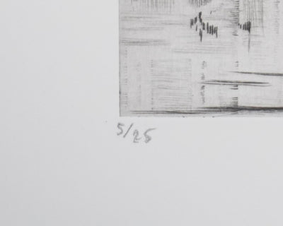 Camille COMBE : Reflets dans la nuit, Gravure originale signée