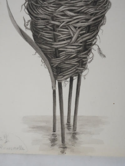 Louis DELAPCHIER : Nid de Rousserolle, Aquarelle originale