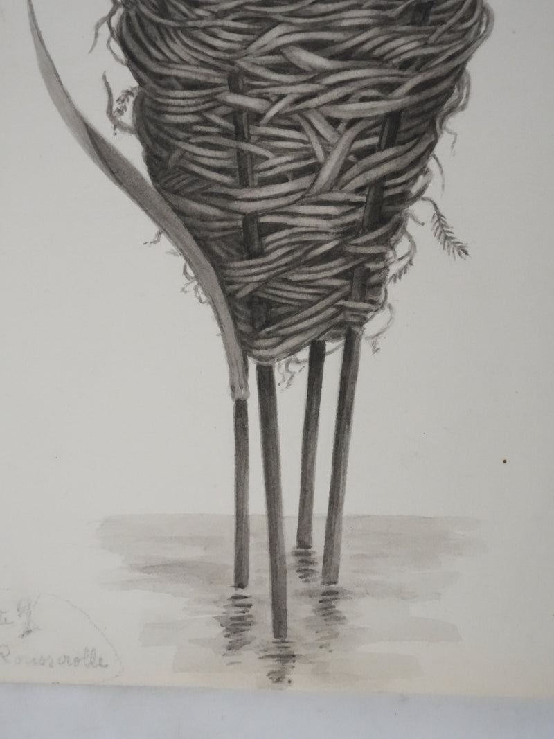 Louis DELAPCHIER : Nid de Rousserolle, Aquarelle originale