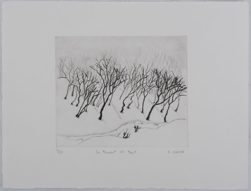 Camille COMBE : Le torrent se tait, Gravure originale signée