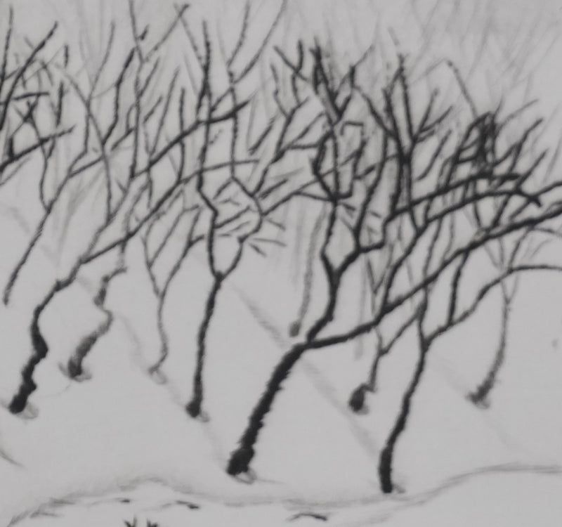 Camille COMBE : Le torrent se tait, Gravure originale signée