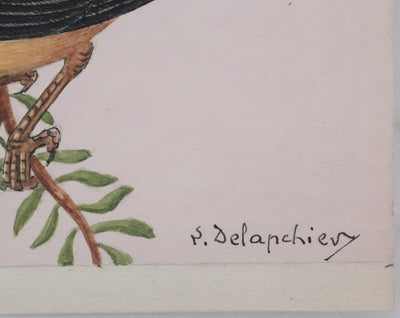 Louis DELAPCHIER : Oiseaux tachetés sur branche aux fleurs, Aquarelle originale signée