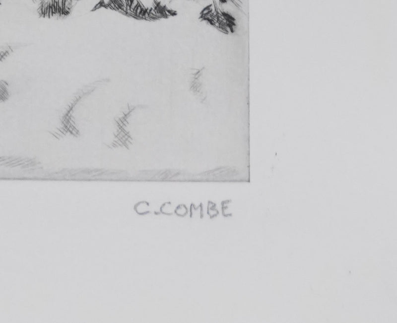 Camille COMBE : Les fenêtres s&