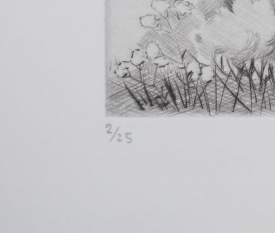 Camille COMBE : Le domaine, Gravure originale signée