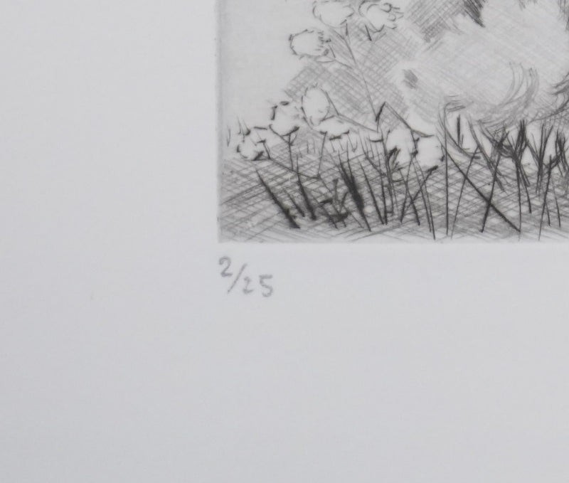 Camille COMBE : Le domaine, Gravure originale signée