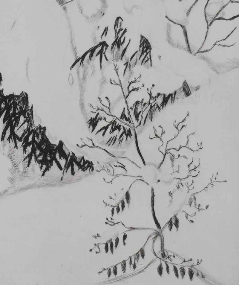 Camille COMBE : Vers la forêt, Gravure originale signée