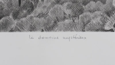 Camille COMBE : Le domaine mystérieux, Gravure originale signée