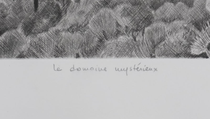 Camille COMBE : Le domaine mystérieux, Gravure originale signée