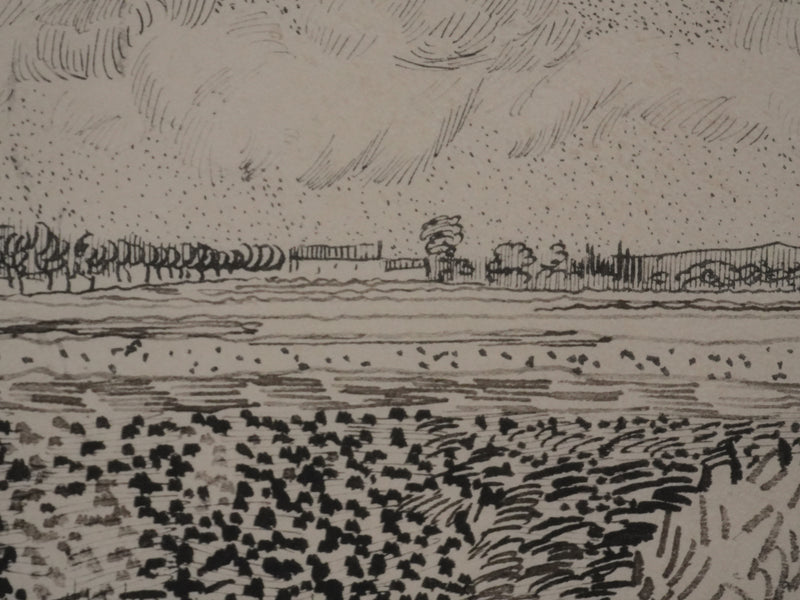 Vincent VAN GOGH : Champs en moisson, Lithographie signée