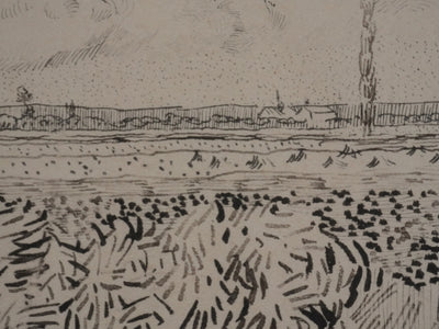 Vincent VAN GOGH : Champs en moisson, Lithographie signée