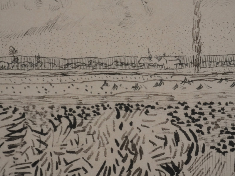 Vincent VAN GOGH : Champs en moisson, Lithographie signée