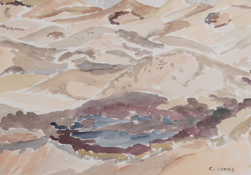 Camille COMBE : Où nichent les oiseaux, Aquarelle originale signée