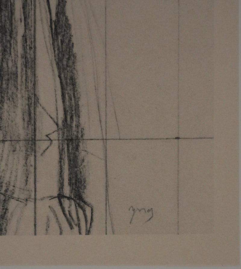 Jean-Auguste-Dominique INGRES : Portrait de la vicomtesse Louise d&