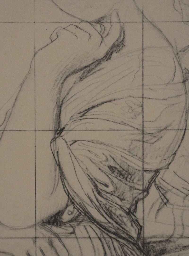 Jean-Auguste-Dominique INGRES : Portrait de la vicomtesse Louise d&