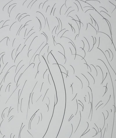 Suzanne BLUM : L'arbre au bout du chemin, Autographe et dessin original signé