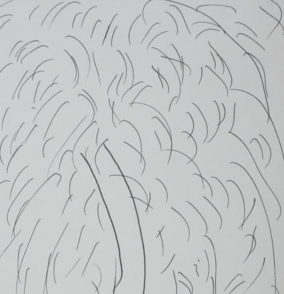 Suzanne BLUM : L'arbre au bout du chemin, Autographe et dessin original signé