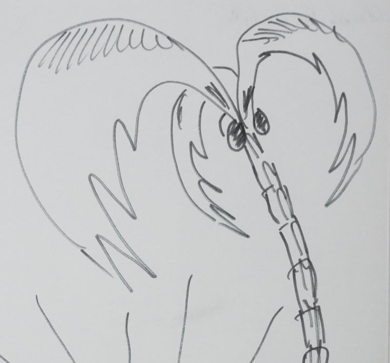 Christian ZUBER : Les iles Galapagos, Autographe et dessin original signé