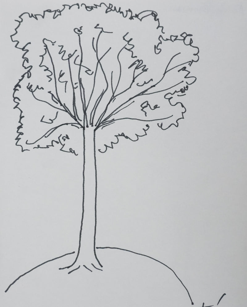 LES FRERES ENNEMIS : L&