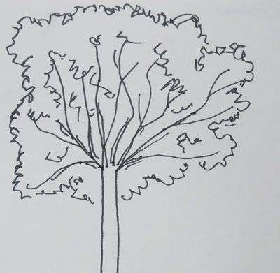 LES FRERES ENNEMIS : L'arbre en haut de la colline, Autographe et dessin original signé