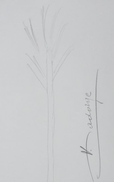 Henri SADORGE : L'arbre en hauteur, Autographe et dessin original signé