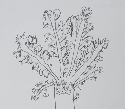 Raymond SOUPLEX : A travers les branches, Autographe et dessin original signé