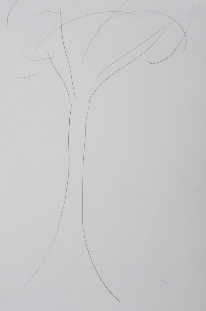 Pierre LOUKI : Tige arborescente, Autographe et dessin original signé