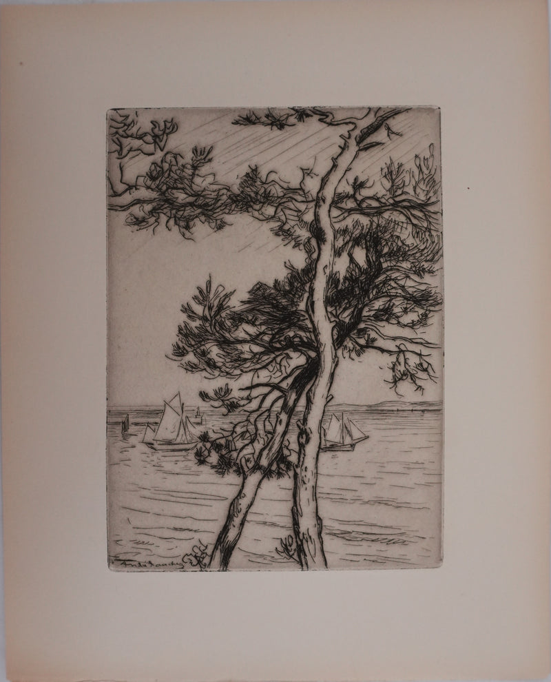 André DAUCHEZ : Les pins en bord de Méditerranée, Gravure originale signée