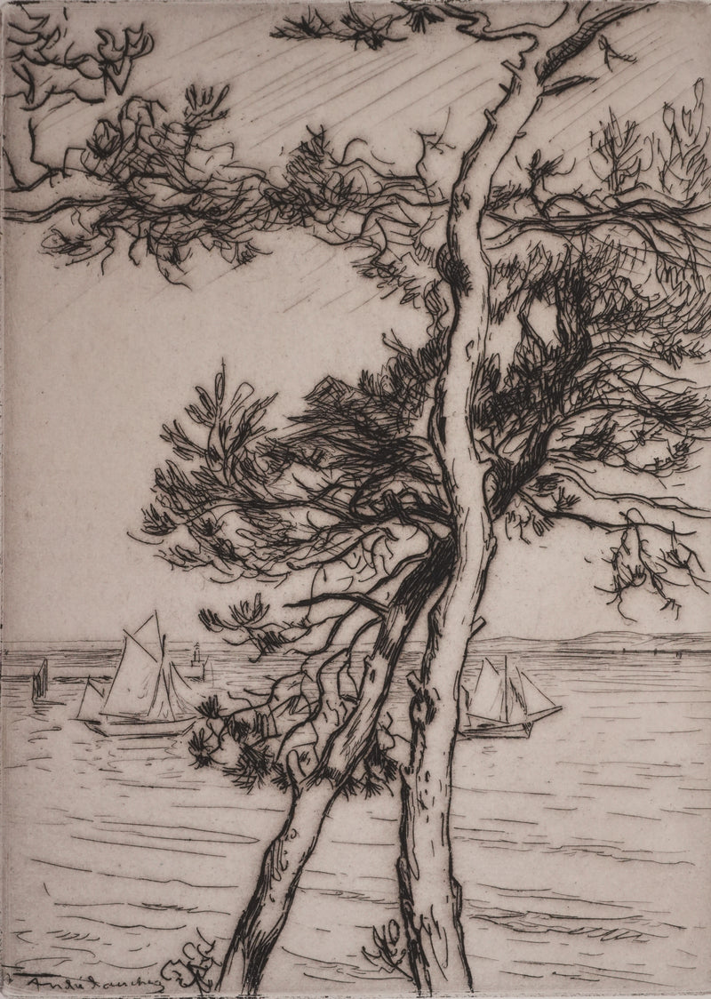 André DAUCHEZ : Les pins en bord de Méditerranée, Gravure originale signée
