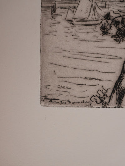 André DAUCHEZ : Les pins en bord de Méditerranée, Gravure originale signée