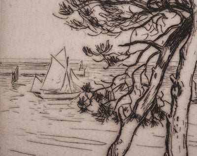 André DAUCHEZ : Les pins en bord de Méditerranée, Gravure originale signée