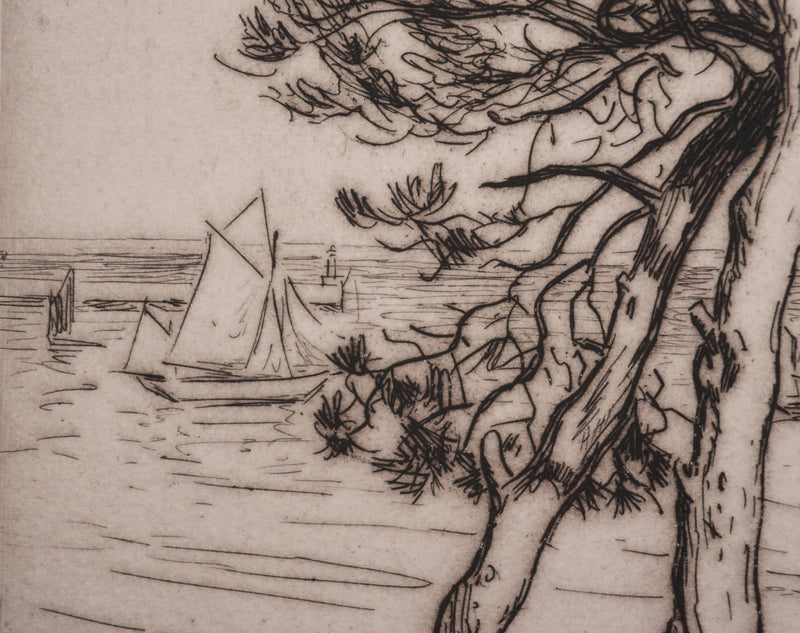 André DAUCHEZ : Les pins en bord de Méditerranée, Gravure originale signée