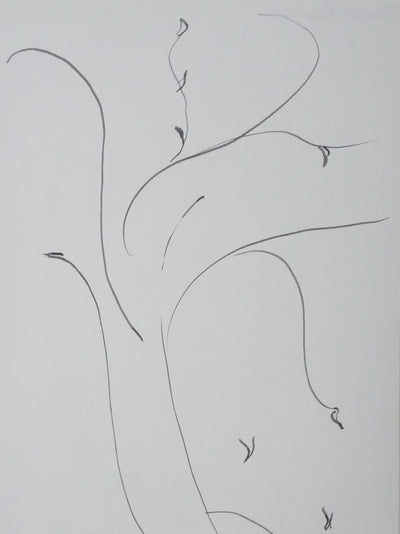 Anne CAPELLE : Les branches fines, Autographe et dessin original signé