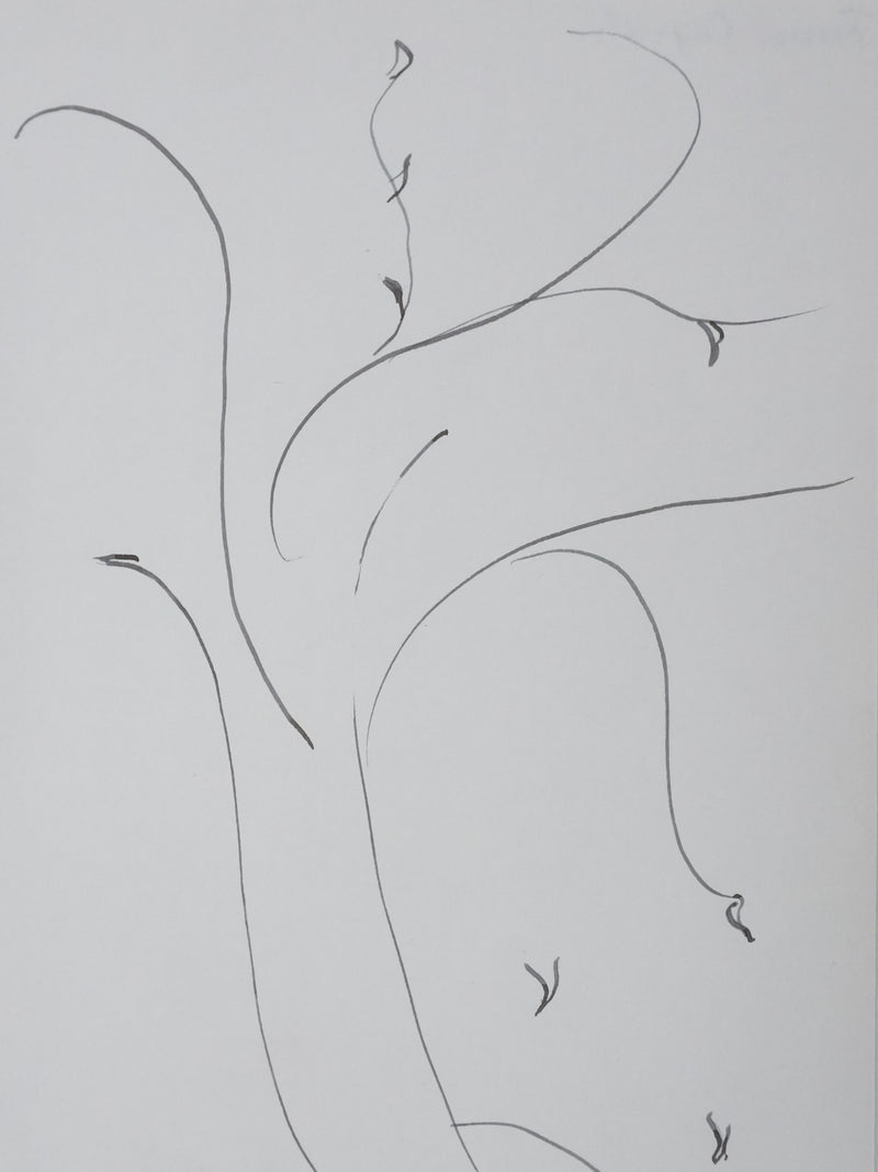 Anne CAPELLE : Les branches fines, Autographe et dessin original signé